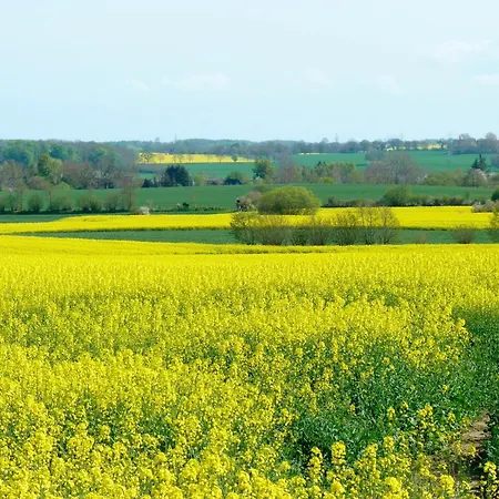 Woge Daire Grodersby